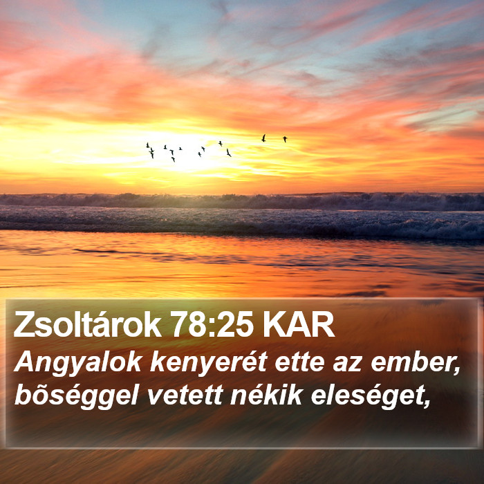 Zsoltárok 78:25 KAR Bible Study