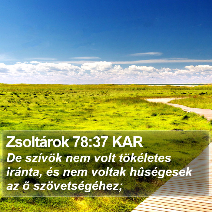 Zsoltárok 78:37 KAR Bible Study