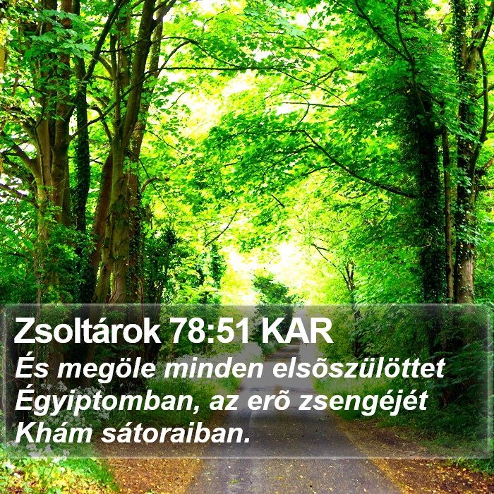 Zsoltárok 78:51 KAR Bible Study