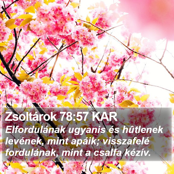 Zsoltárok 78:57 KAR Bible Study