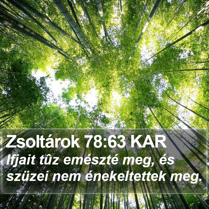 Zsoltárok 78:63 KAR Bible Study