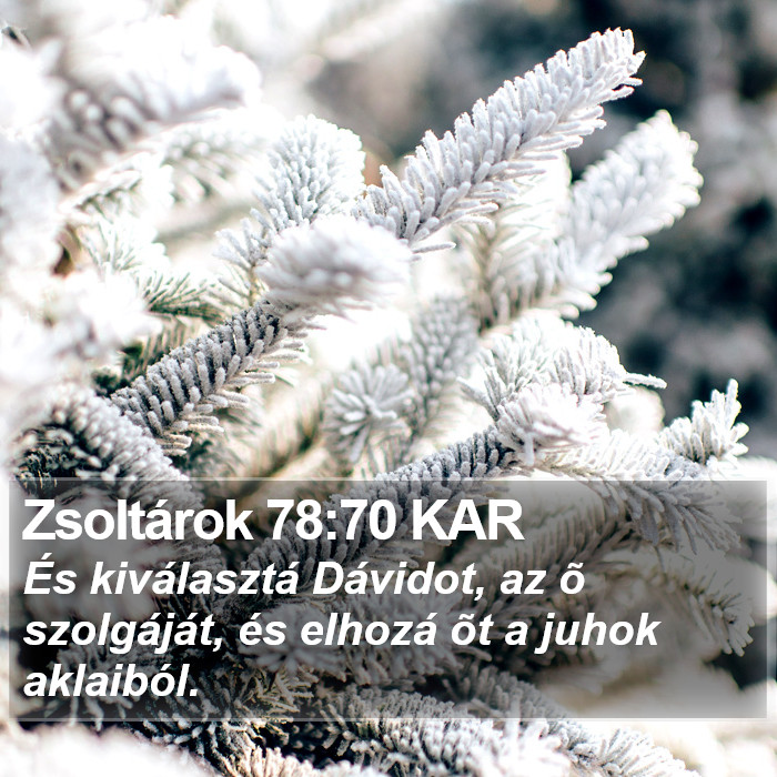 Zsoltárok 78:70 KAR Bible Study