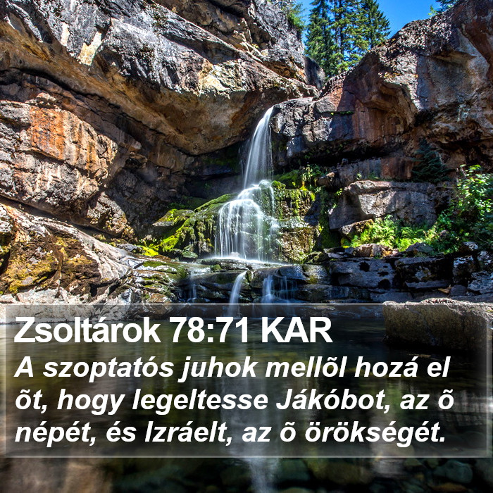 Zsoltárok 78:71 KAR Bible Study