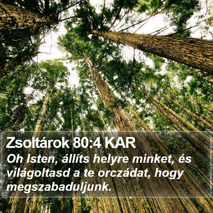 Zsoltárok 80:4 KAR Bible Study