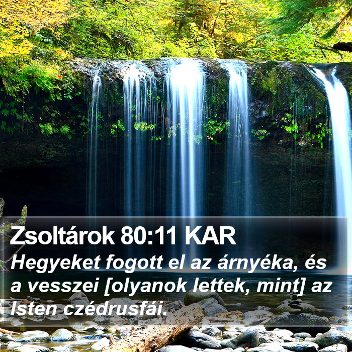 Zsoltárok 80:11 KAR Bible Study