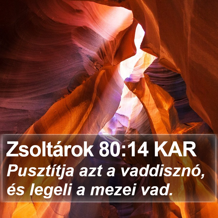 Zsoltárok 80:14 KAR Bible Study