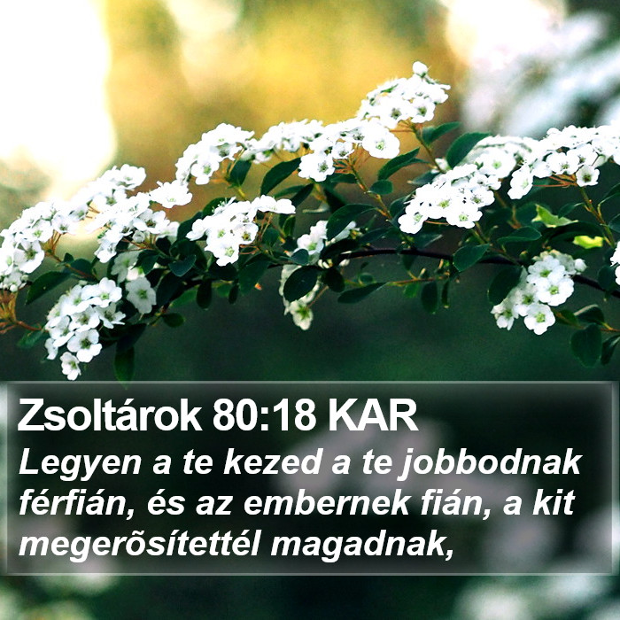 Zsoltárok 80:18 KAR Bible Study