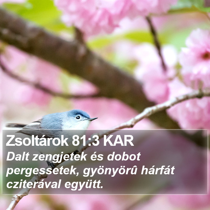 Zsoltárok 81:3 KAR Bible Study