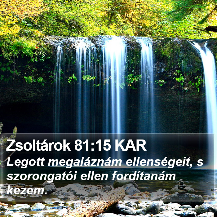 Zsoltárok 81:15 KAR Bible Study