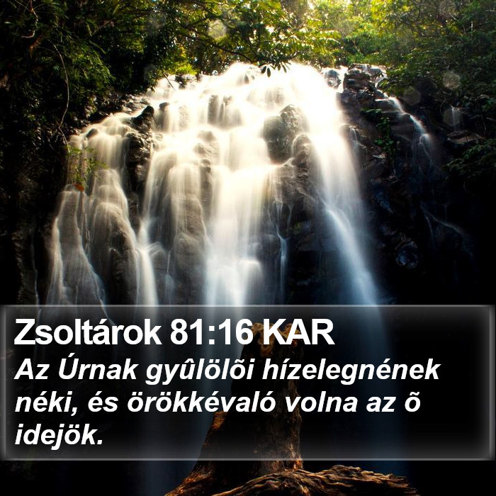 Zsoltárok 81:16 KAR Bible Study