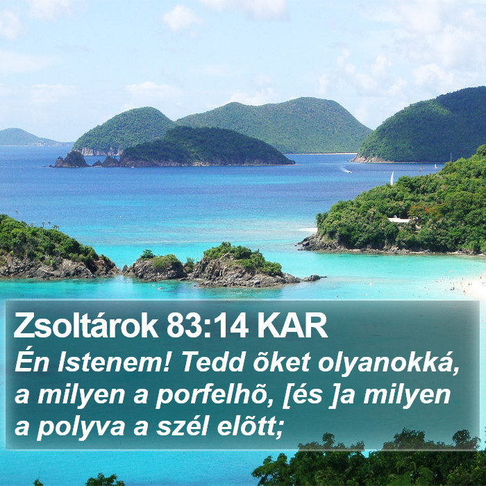 Zsoltárok 83:14 KAR Bible Study