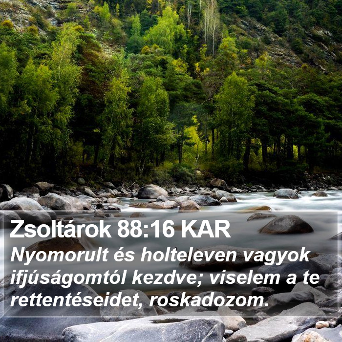 Zsoltárok 88:16 KAR Bible Study