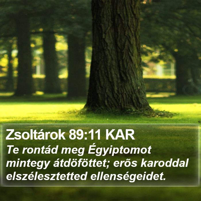 Zsoltárok 89:11 KAR Bible Study