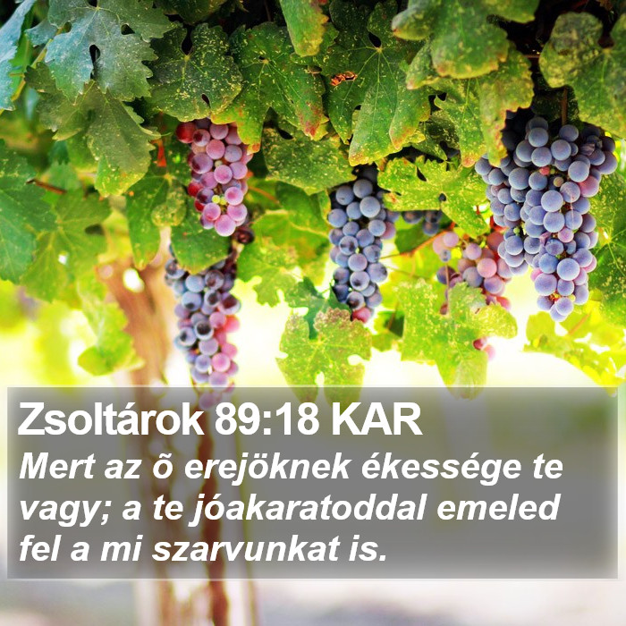 Zsoltárok 89:18 KAR Bible Study