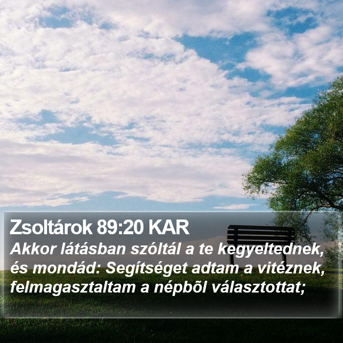 Zsoltárok 89:20 KAR Bible Study