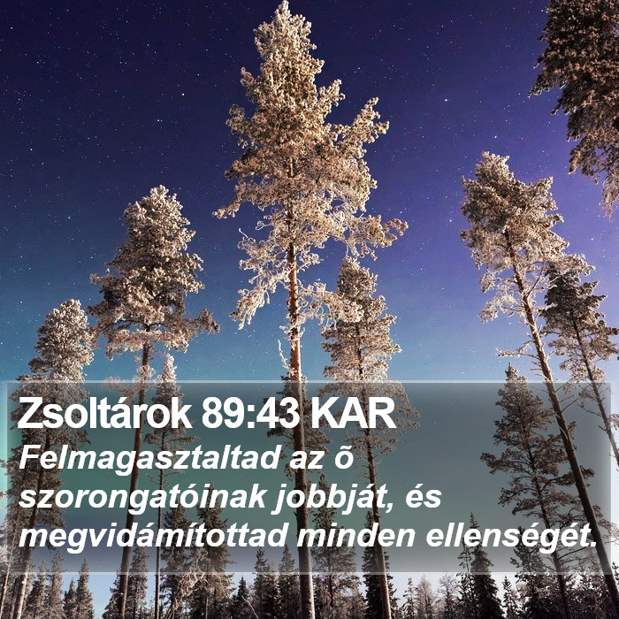 Zsoltárok 89:43 KAR Bible Study