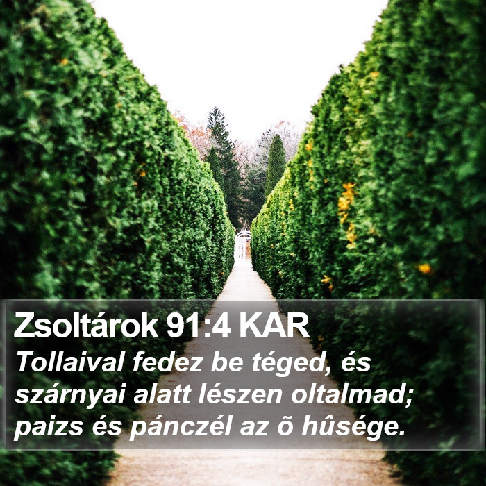 Zsoltárok 91:4 KAR Bible Study