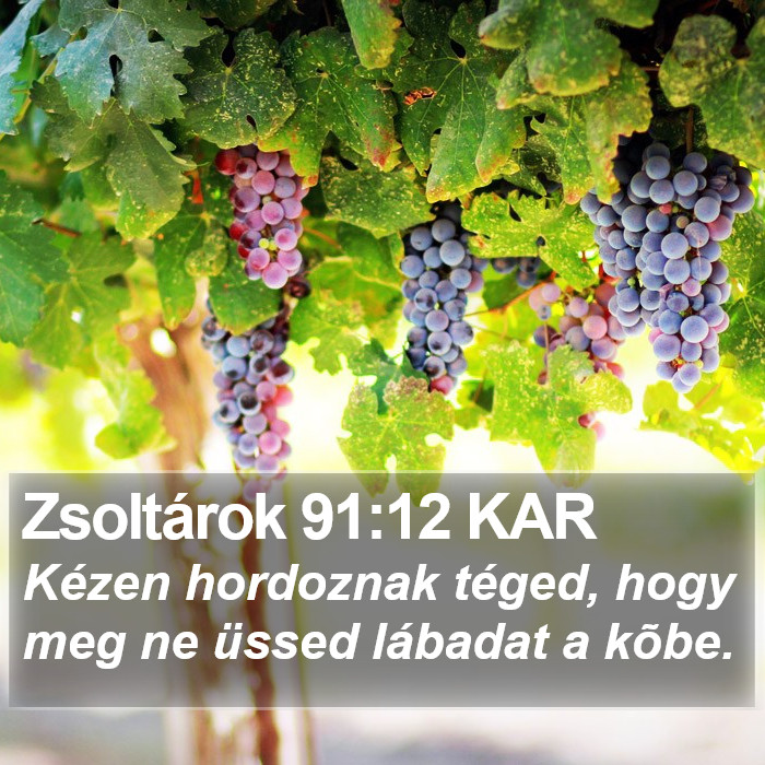 Zsoltárok 91:12 KAR Bible Study