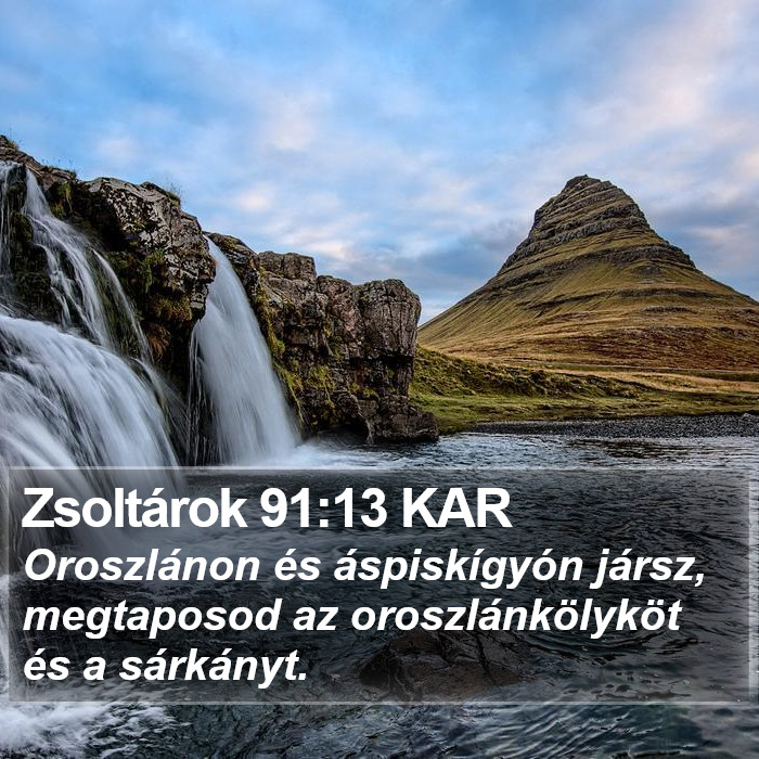 Zsoltárok 91:13 KAR Bible Study