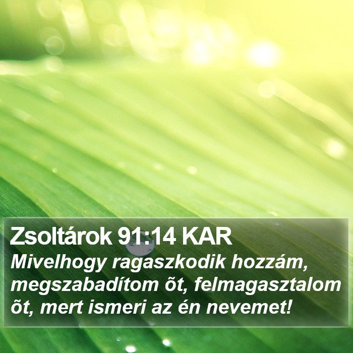 Zsoltárok 91:14 KAR Bible Study