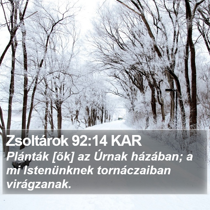 Zsoltárok 92:14 KAR Bible Study