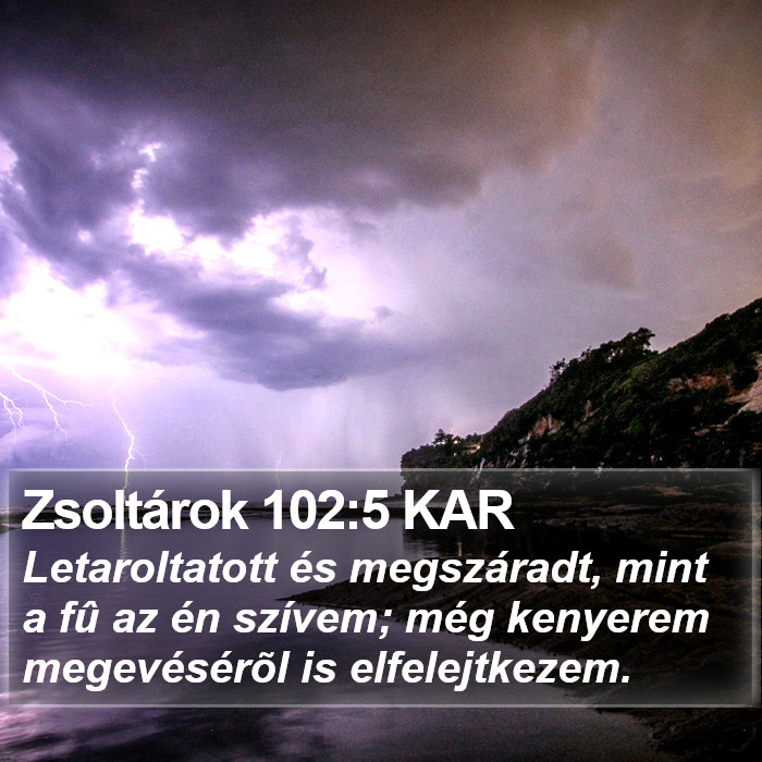 Zsoltárok 102:5 KAR Bible Study