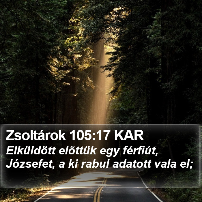 Zsoltárok 105:17 KAR Bible Study