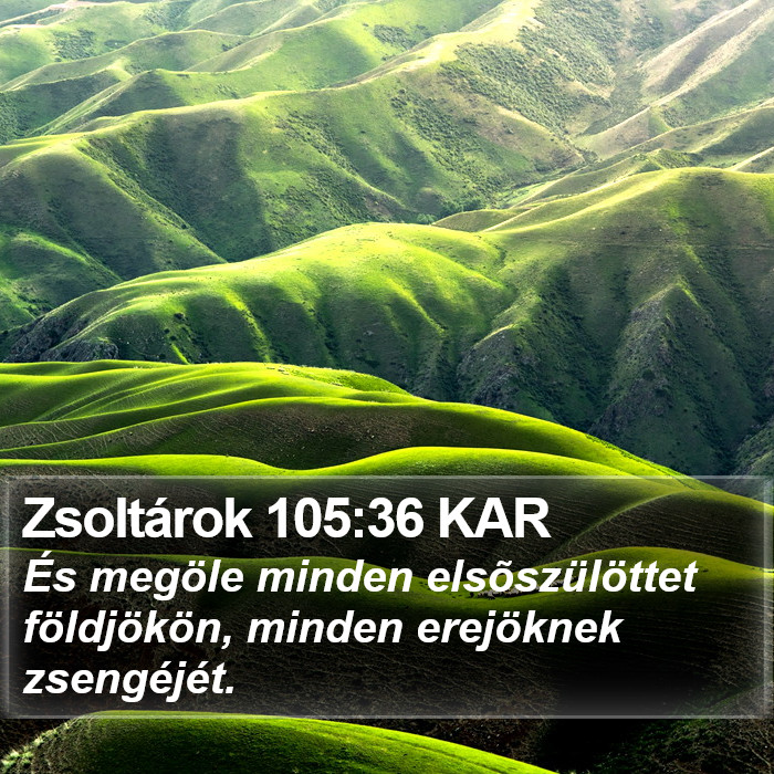 Zsoltárok 105:36 KAR Bible Study