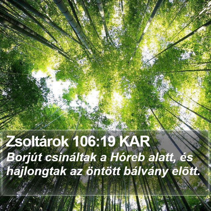 Zsoltárok 106:19 KAR Bible Study
