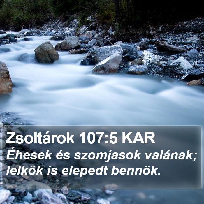 Zsoltárok 107:5 KAR Bible Study