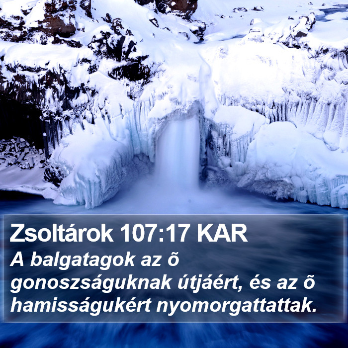 Zsoltárok 107:17 KAR Bible Study