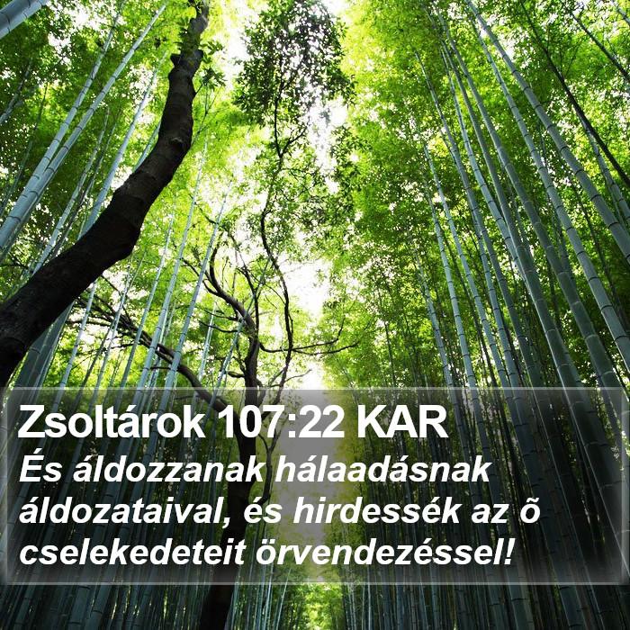 Zsoltárok 107:22 KAR Bible Study