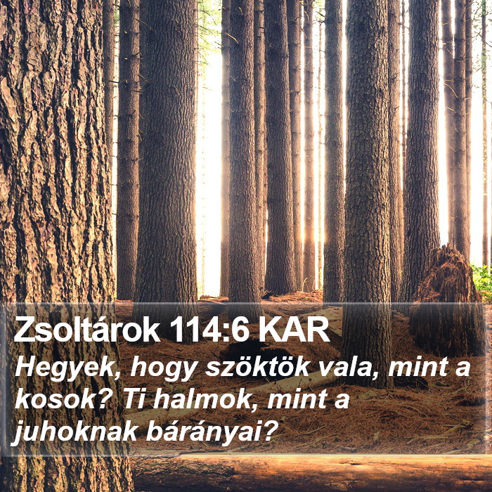 Zsoltárok 114:6 KAR Bible Study