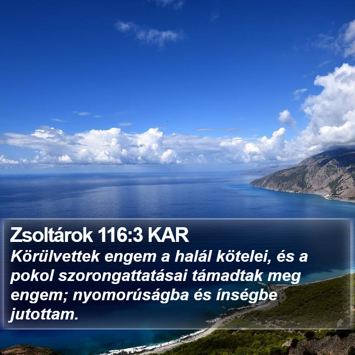 Zsoltárok 116:3 KAR Bible Study