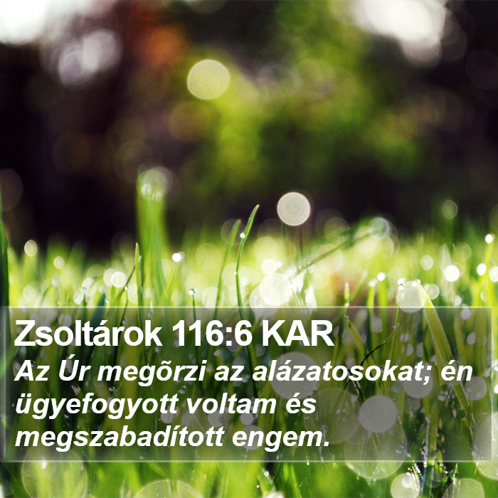 Zsoltárok 116:6 KAR Bible Study