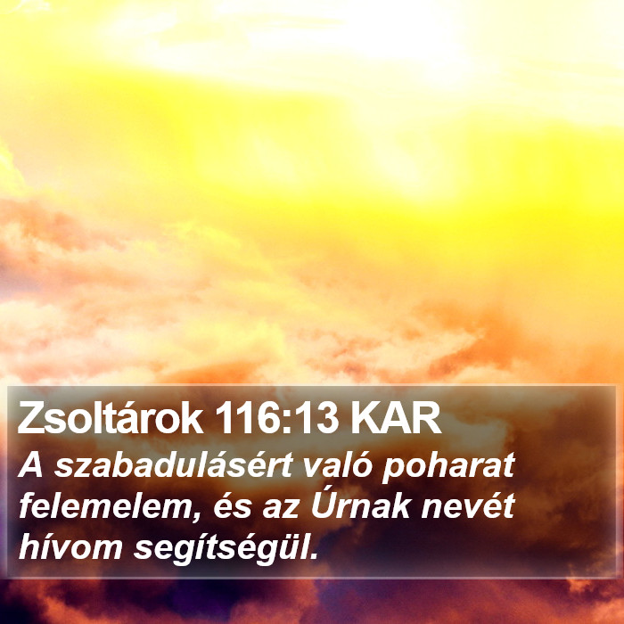 Zsoltárok 116:13 KAR Bible Study