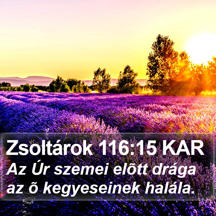 Zsoltárok 116:15 KAR Bible Study