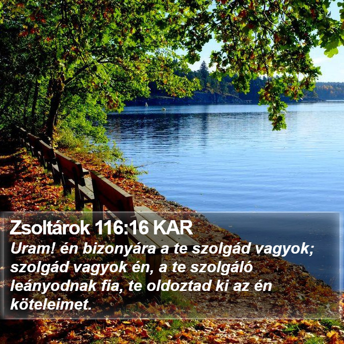 Zsoltárok 116:16 KAR Bible Study