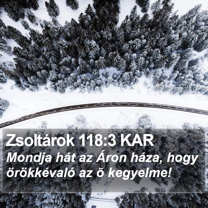 Zsoltárok 118:3 KAR Bible Study