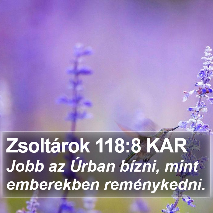 Zsoltárok 118:8 KAR Bible Study