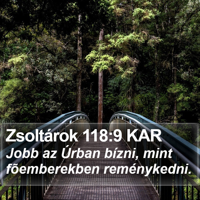 Zsoltárok 118:9 KAR Bible Study