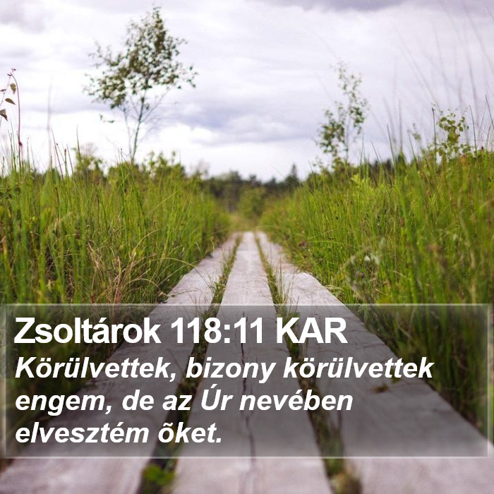 Zsoltárok 118:11 KAR Bible Study