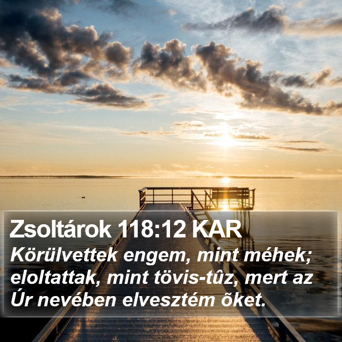 Zsoltárok 118:12 KAR Bible Study