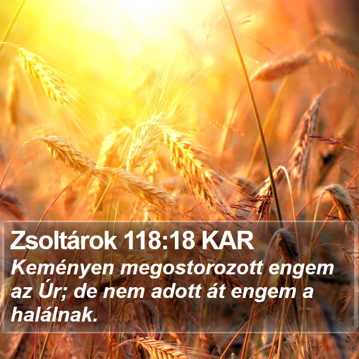 Zsoltárok 118:18 KAR Bible Study