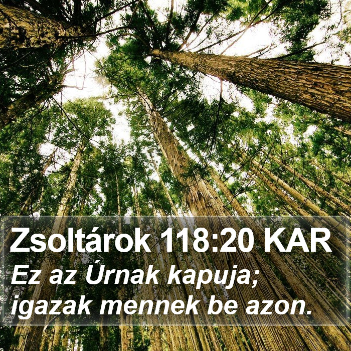 Zsoltárok 118:20 KAR Bible Study