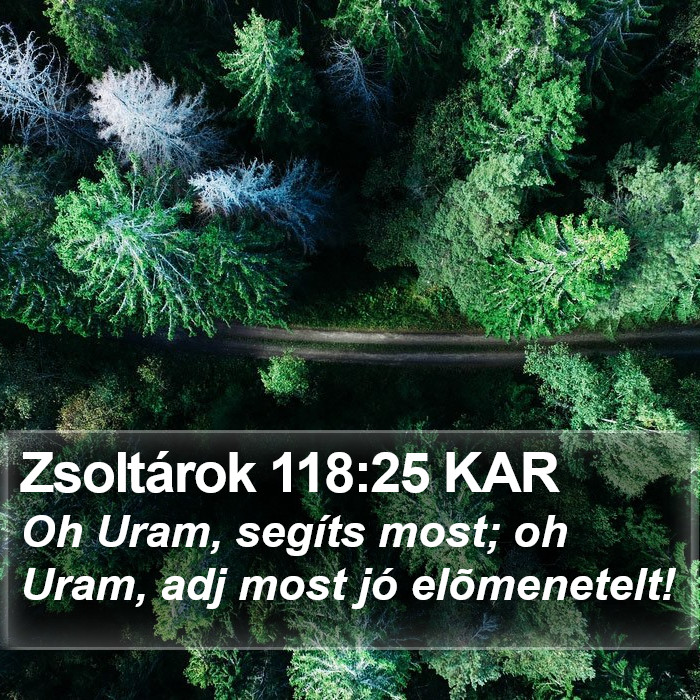 Zsoltárok 118:25 KAR Bible Study