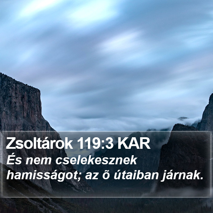 Zsoltárok 119:3 KAR Bible Study