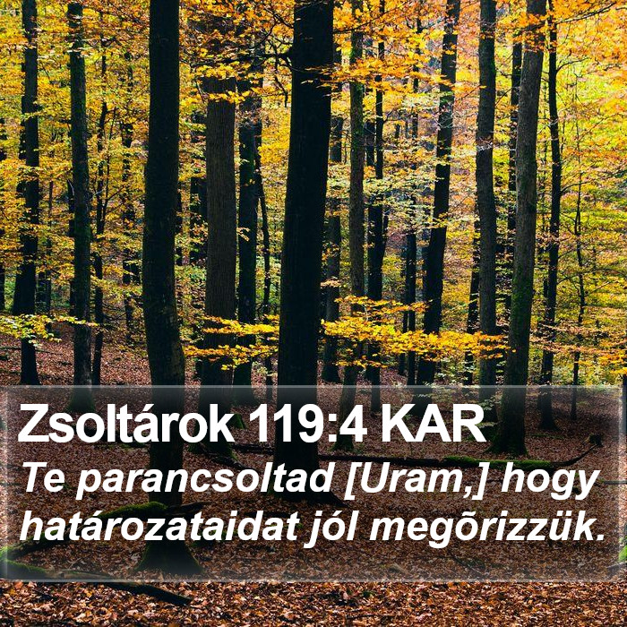 Zsoltárok 119:4 KAR Bible Study