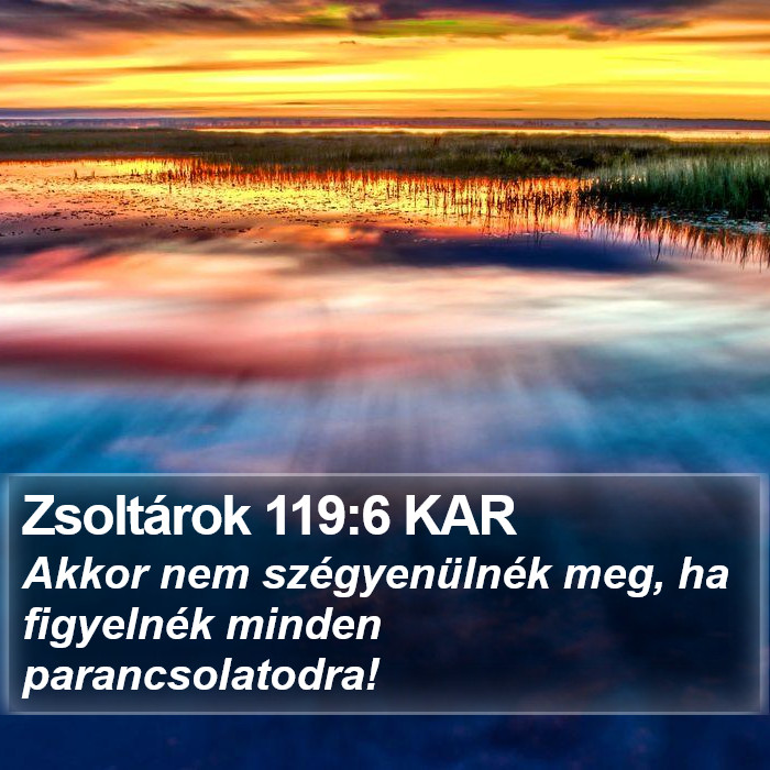 Zsoltárok 119:6 KAR Bible Study