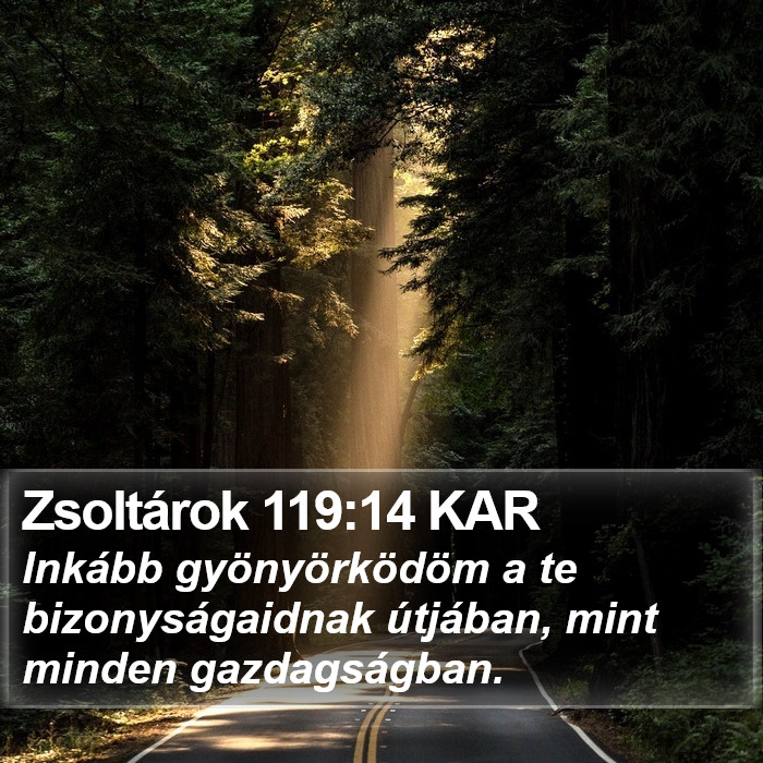 Zsoltárok 119:14 KAR Bible Study